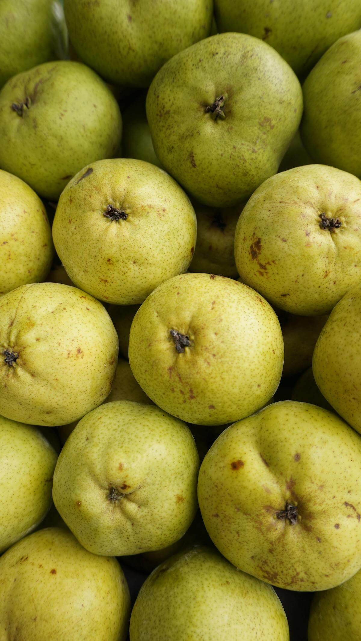 viele Birnen